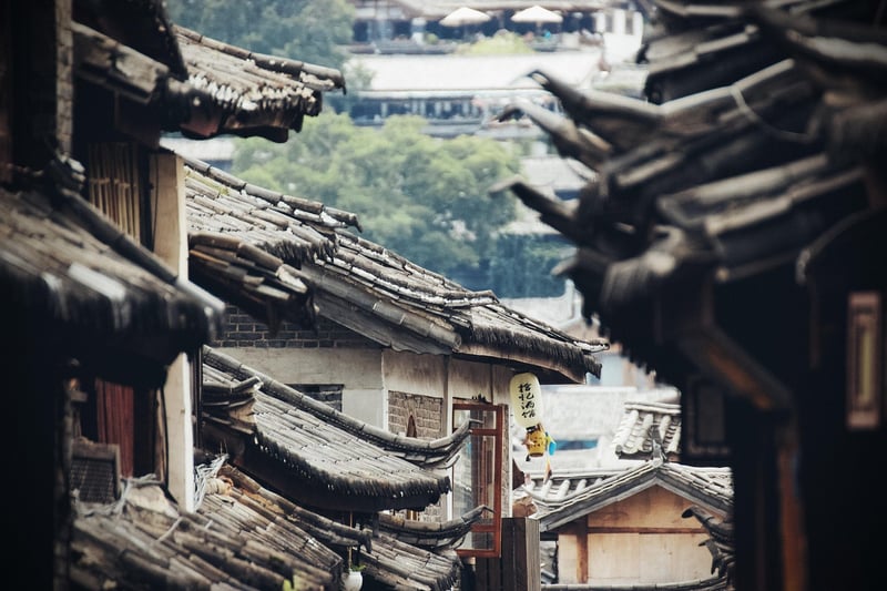Cultural Immersions
