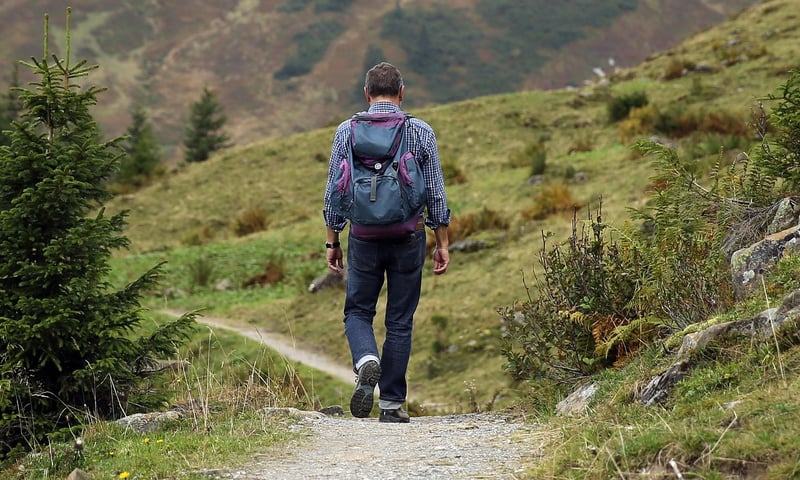 Group of hikers on a tour